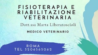 Fisioterapia e riabilitazione Veterinaria Roma