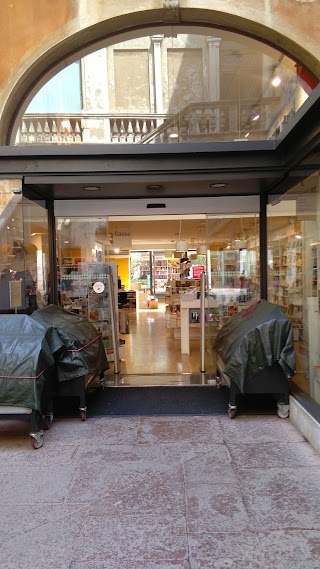 Libreria ubik Treviso