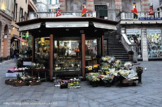 I fiori di Gino