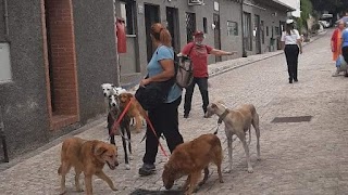 La casa del dog trekking