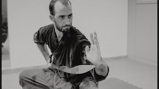 Scuola Shaolin Gong fu Xing Jing