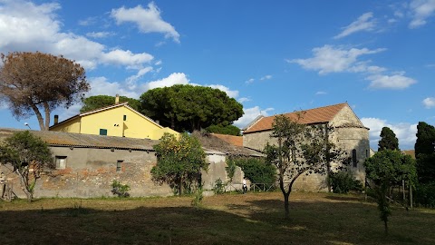 Nucleo Carabinieri Biodiversita' della Riserva naturale "Saline di Tarquinia"