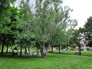 Parco Della Musica John Lennon