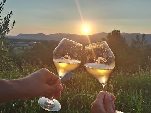 La Guarda Agriturismo in Cantina