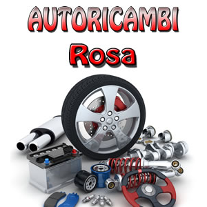 Auto Ricambi Rosa
