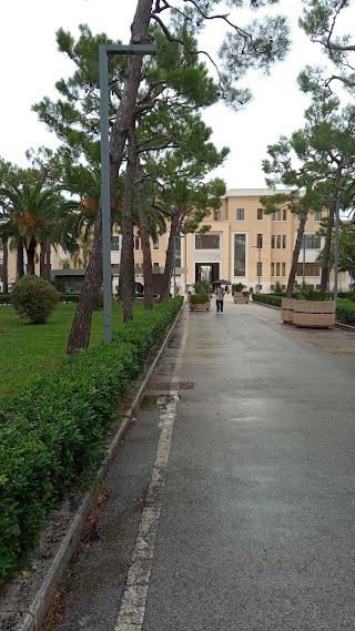 Policlinico di Bari