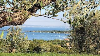 Garda E-Motion - Tour ed esperienze autentiche sul Lago di Garda