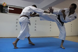 Shorinji Kempo Soprano Branch