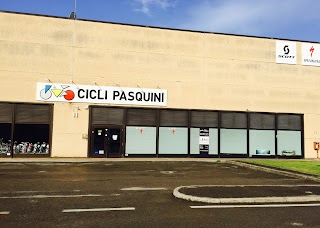 Cicli Pasquini Di Pasquini Adelmo & C.