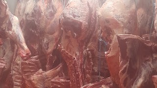 Padovanese ingrosso carne e salumi foriniture per gdo macellerie e Ristorazione