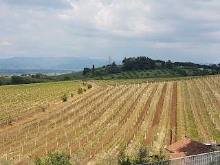 Cantina Cerquetta