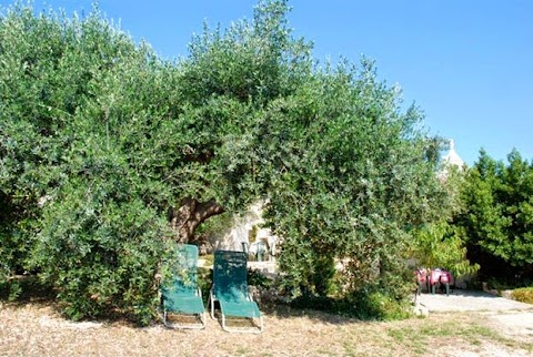 B&B Valle Dei Trulli