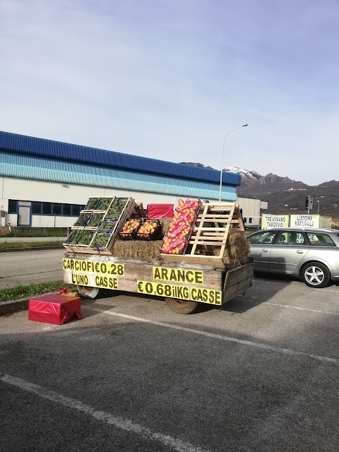 Frutta Mercato