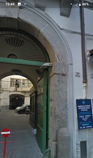 Ambulatorio Veterinario Chiaia Dott Riccardo Jori