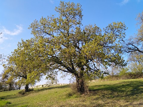 Cà del Vento