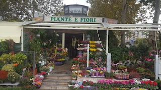 Piante E Fiori Di Marco E Daniela