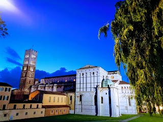 lucca.taxi