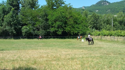 Pony Club La Ginestra