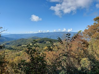 Bosco delle Fate