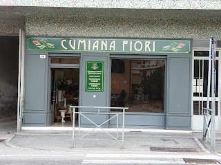 Cumiana Fiori di Garello Michela