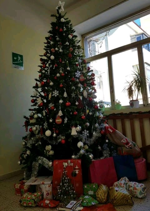 L'Albero della Vita Scuola dell'Infanzia e Asilo Nido