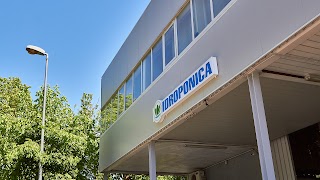 Idroponica Grow Shop Roma