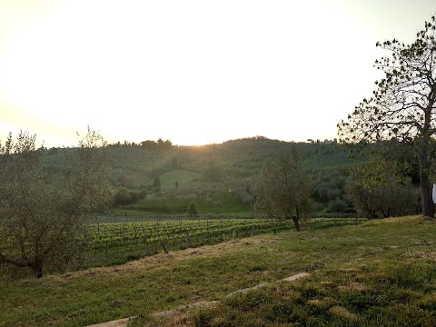 PALAIA - AGRITURISMO