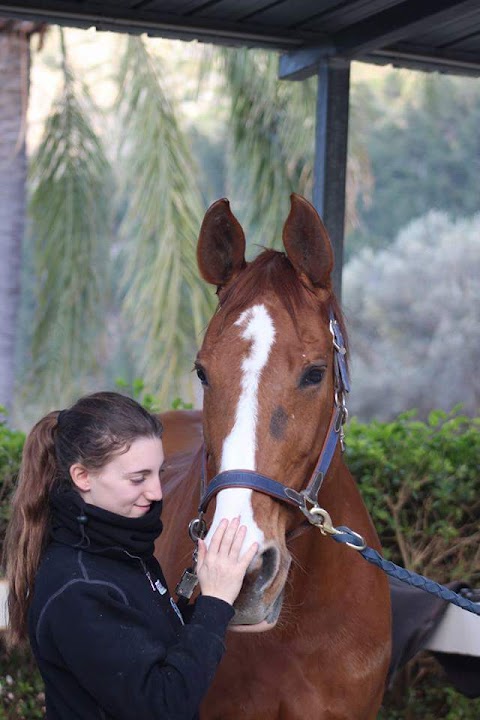 A.S.D. Horsesense Italia Scuola di Equitazione