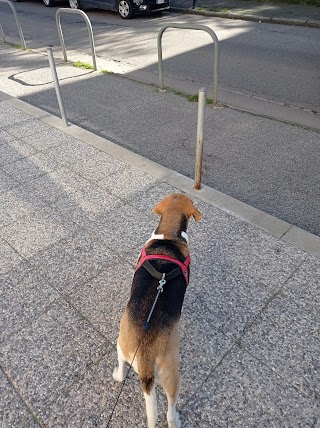 Compagnin Oscar - Ambulatorio Veterinario "Vallone"