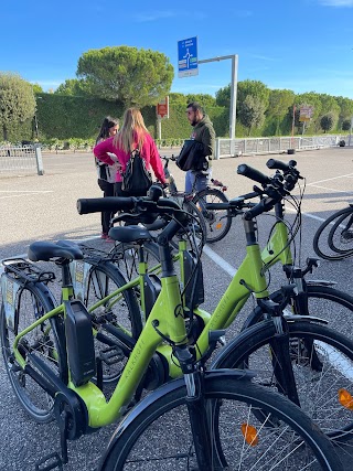 Garda South Cycling - Noleggio biciclette Lago di Garda