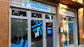 Ambulatorio Veterinario Dott.ssa Grosso Linda