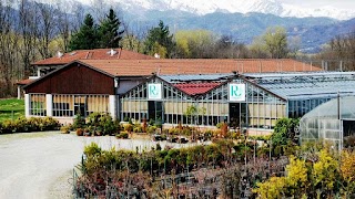 Vivaio Roggeri Azienda Agricola Florovivaistica Garden