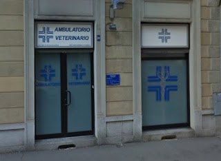 Ambulatorio Medico Veterinario