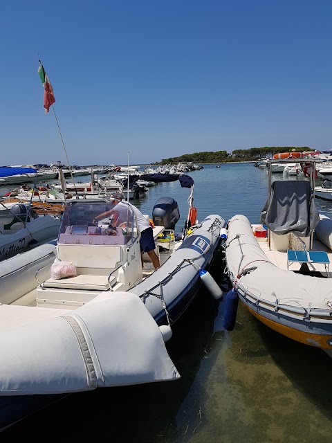 C.E.A. Porto Cesareo