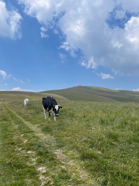 Rifugio Primaneve sul Monte Tomba