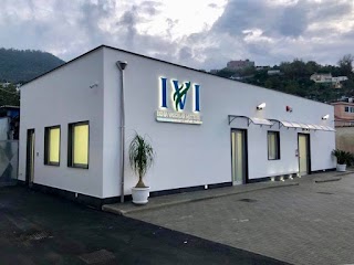 Ivimed - Ischia Vascular Institute