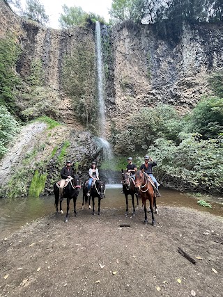 ASD PIERANTOZZI HORSES