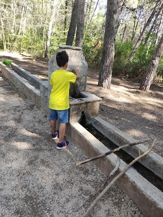 Small water source and trough