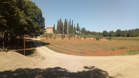 La Casina Apartment