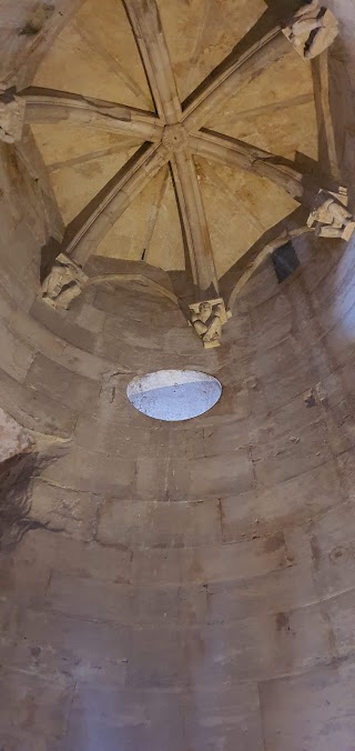 Visite Guidate Castel Del Monte - visitacasteldelmonte.com