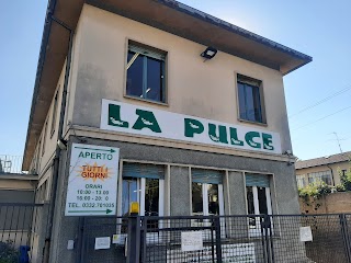 La Pulce snc