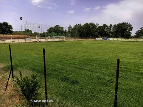 Centro Universitario Sportivo Viterbo