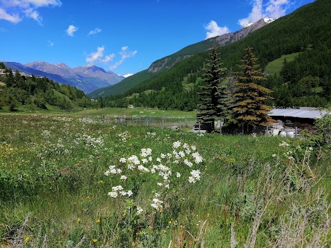 Sede di Pragelato - Ente di Gestione delle Aree Protette delle Alpi Cozie