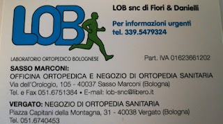 Lob Sanitaria Ortopedia di Vergato