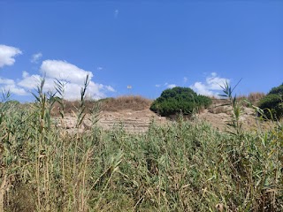 Teatro greco di Eloro