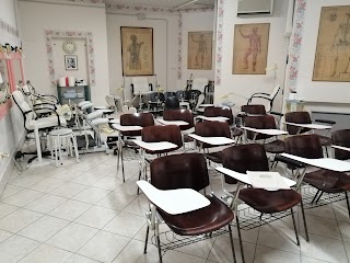 Scuola di Estetica S.A.E. Modena