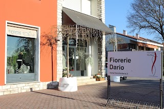 Fiorerie e Onoranze Funebri Dario