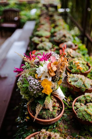 Fiori E Piante Marani Di Agazzi Cristian