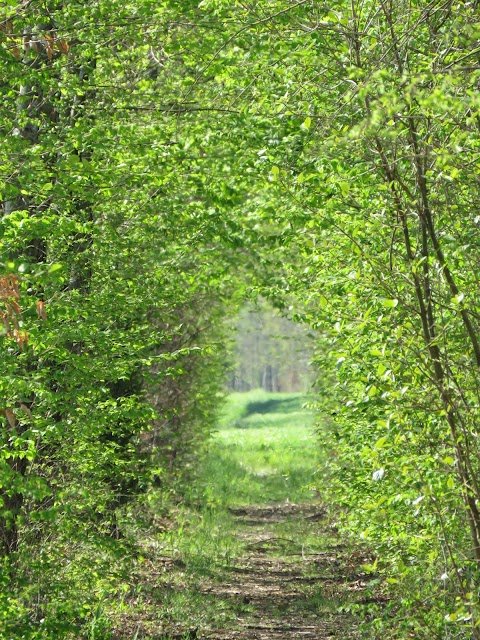 Agriturismo Ca' Marcello