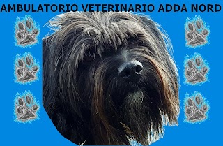 Ambulatorio Veterinario Adda Nord